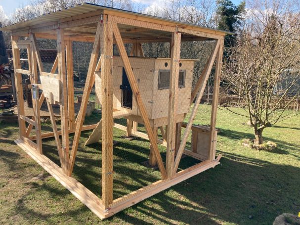 Hühner Vermietung in Sachsen