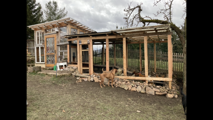 die Voliere ist nicht nur für den Auslauf wichtig, sondern gibt auch Schutz bei einer Aufstellung durch das Veterinäramt